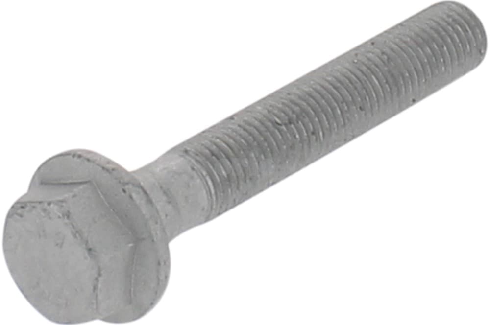 Screw-1