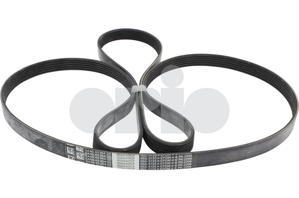 Belt-1