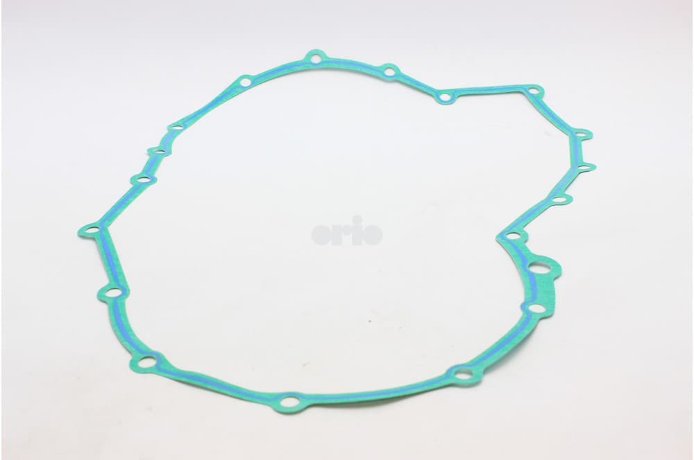 Gasket-1
