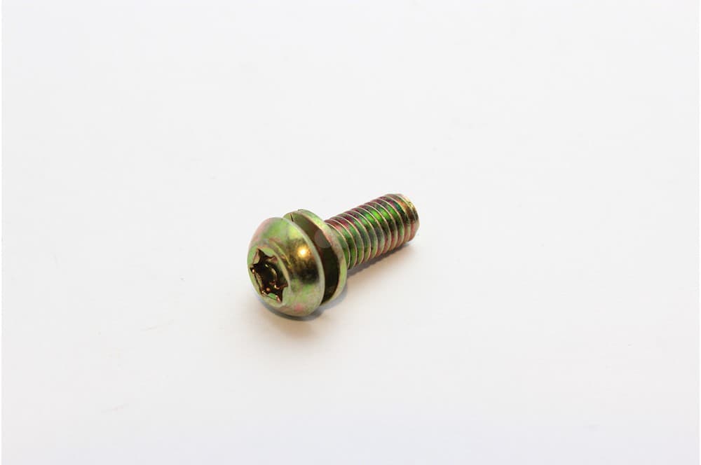 Screw-1