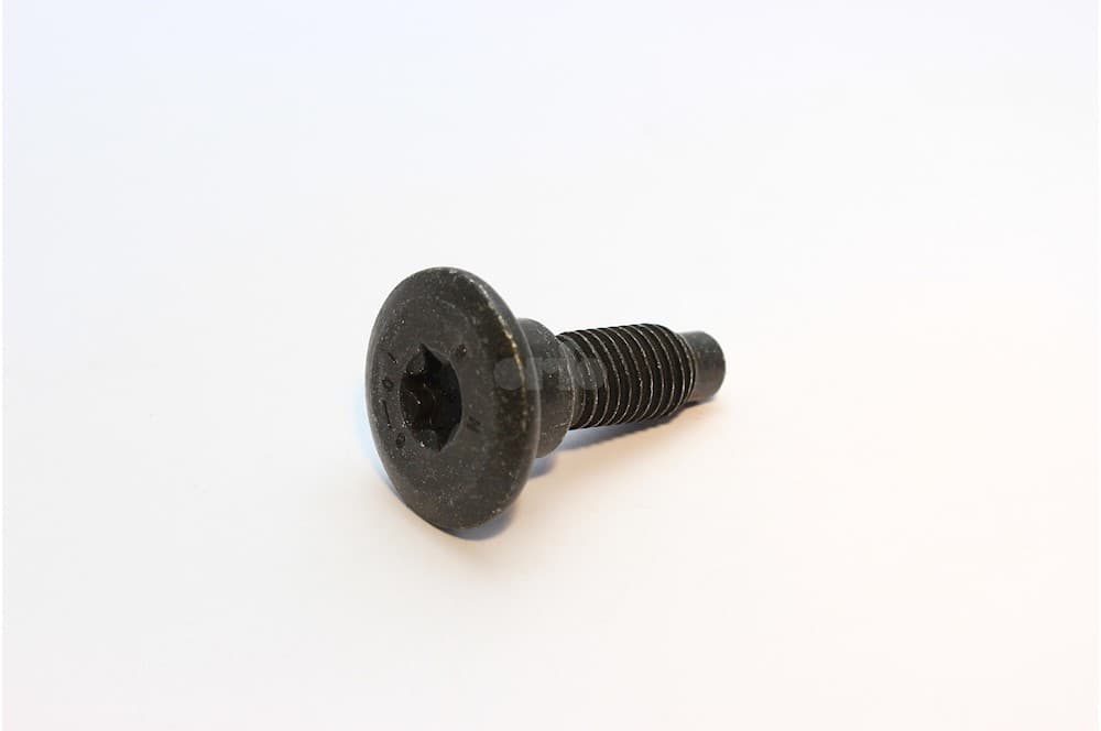Screw-1