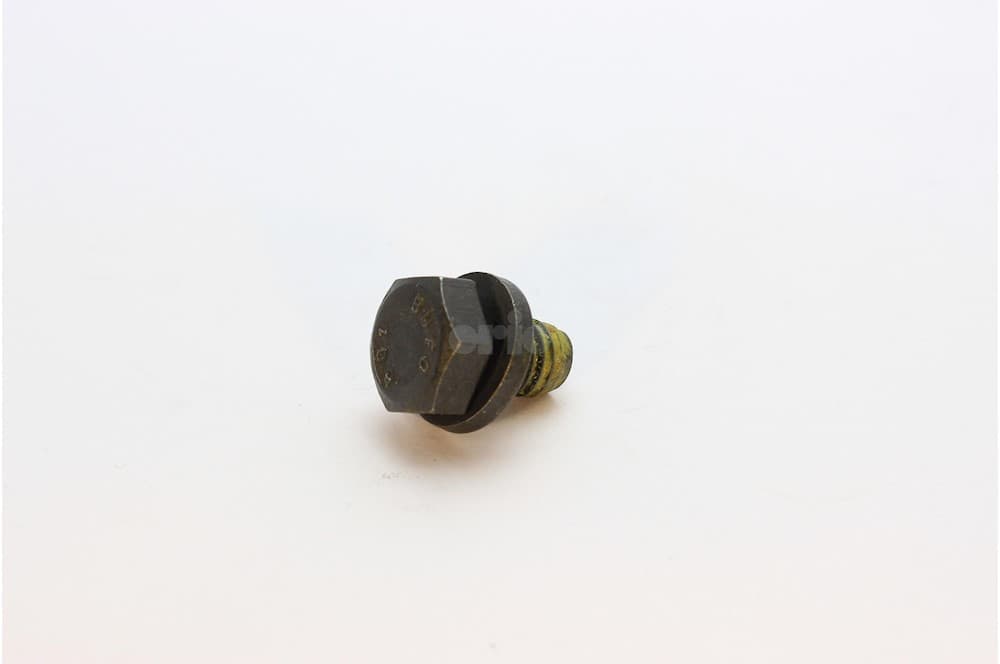 Screw-1