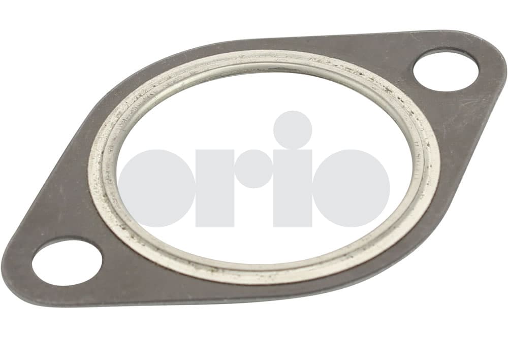 Gasket-1
