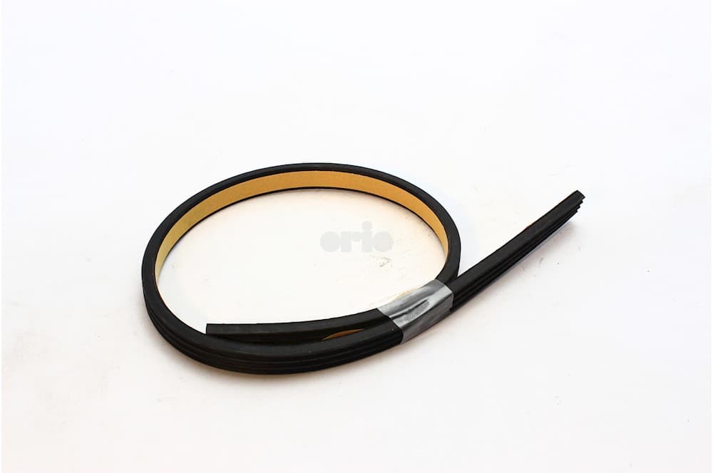 Seal-1