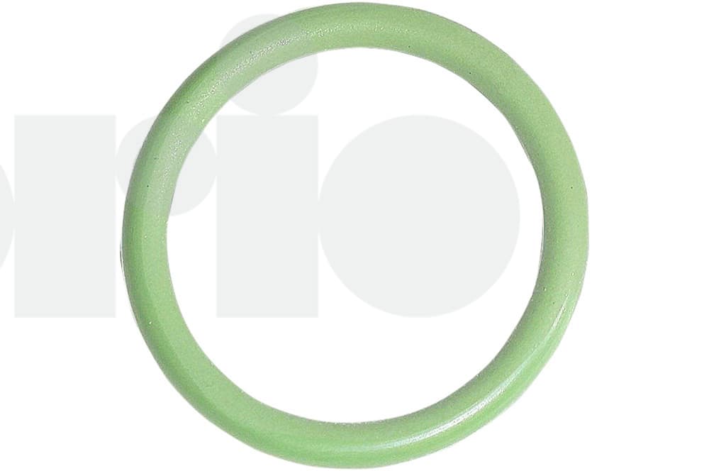 Seal ring-1