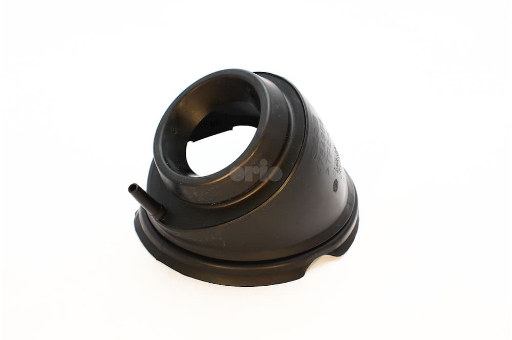 Seal-1