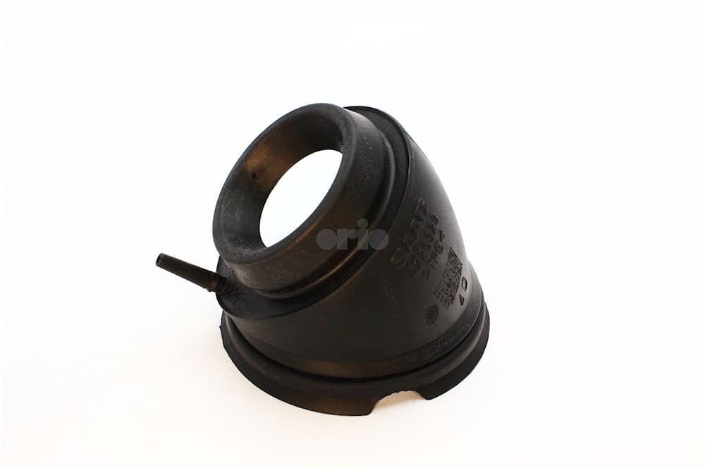 Seal-1