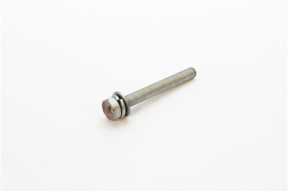 Screw-1