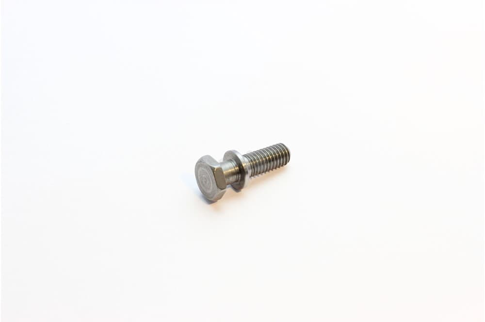 Screw-1