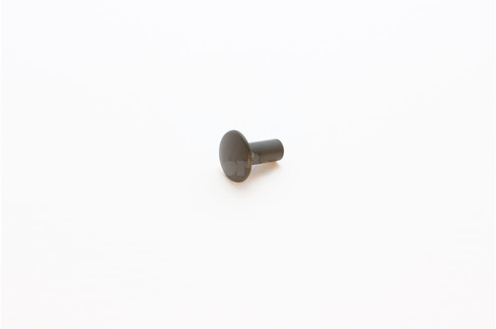 Rivet-1