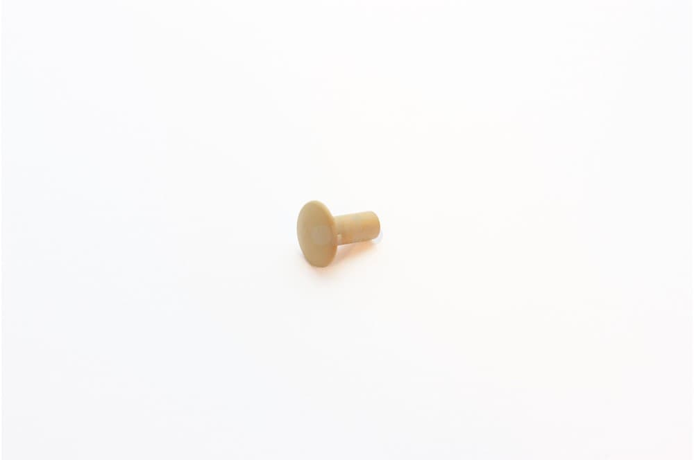 Rivet-1