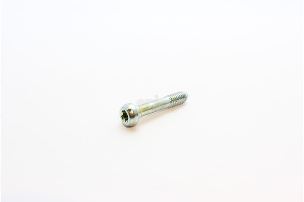 Screw-1
