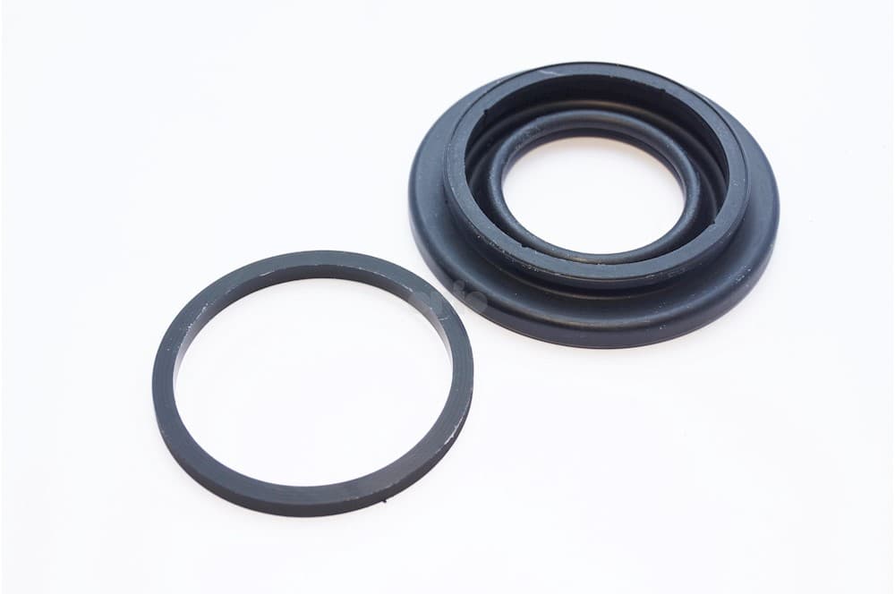 Seal-1