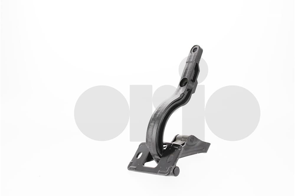 Hinge-1