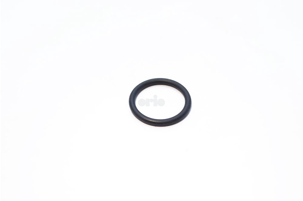 O-ring-1