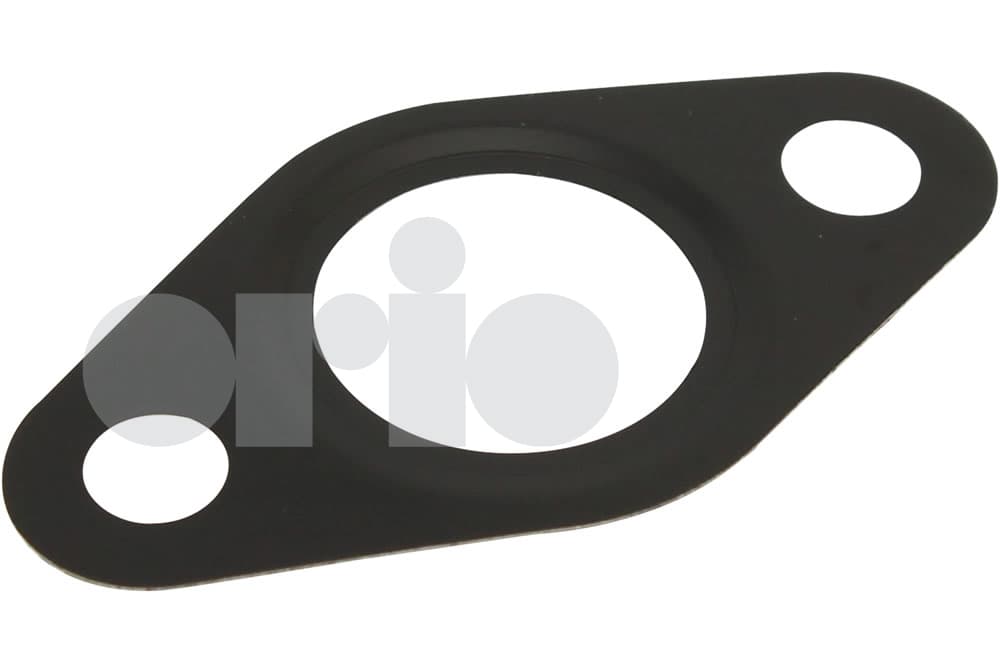 Gasket-1