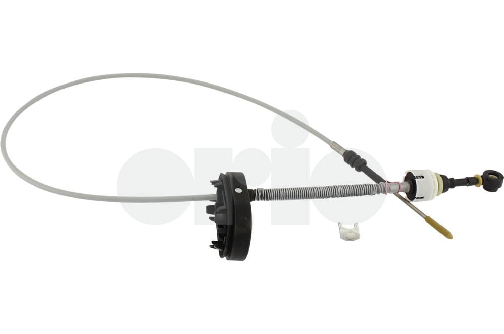 Cable