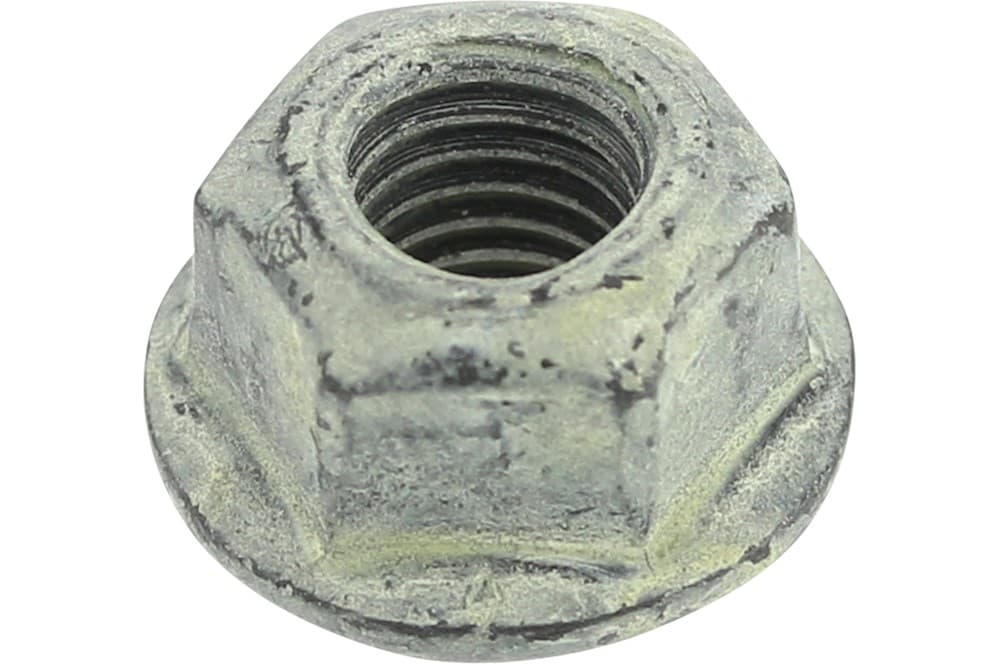 Nut-1