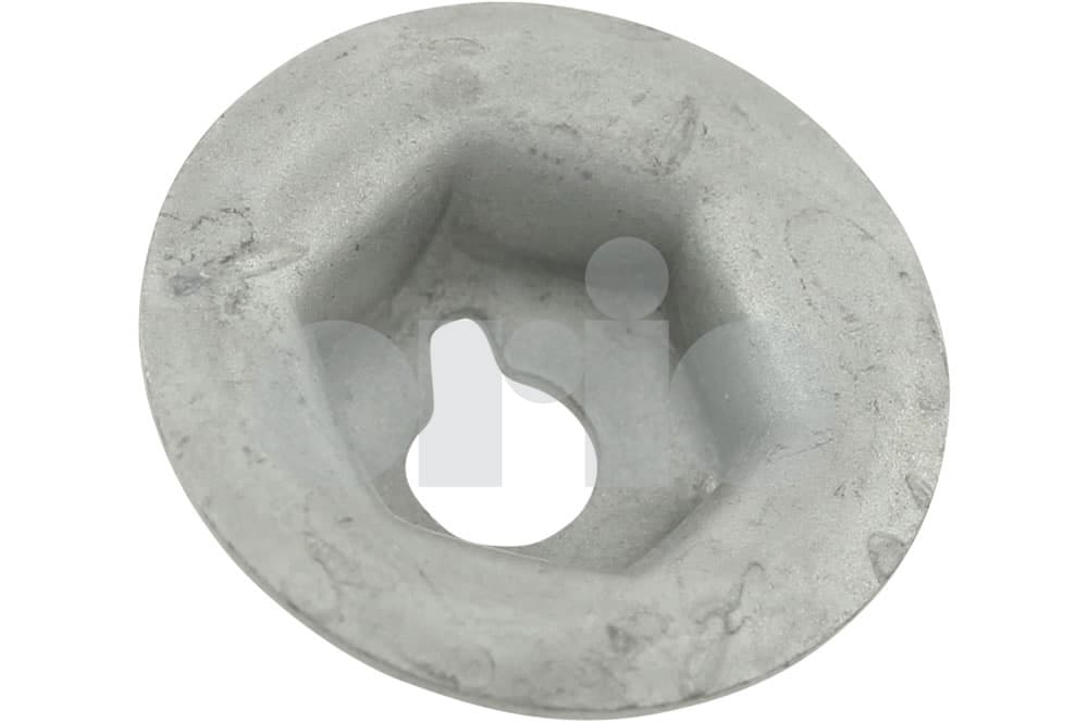 Nut
