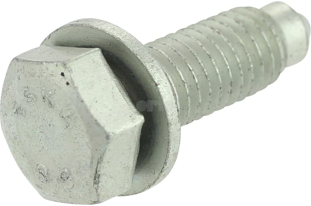 Screw-1