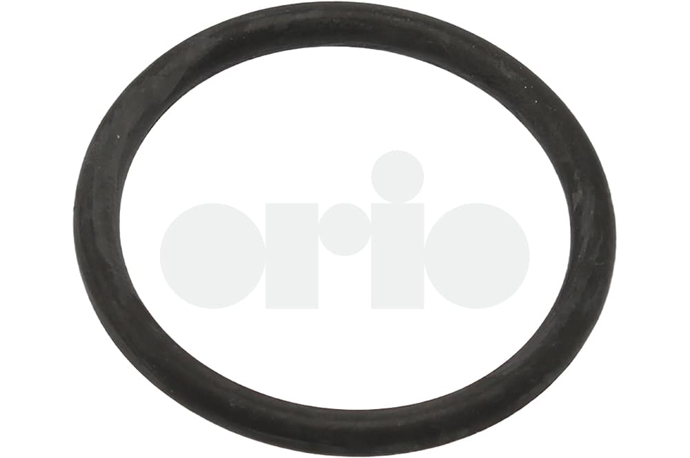 Seal-1