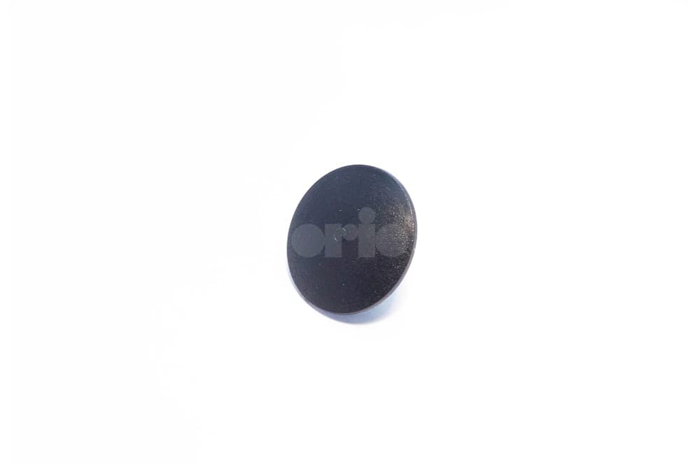 Rivet-1