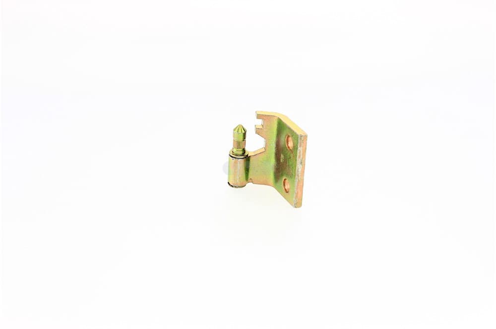 Hinge-1