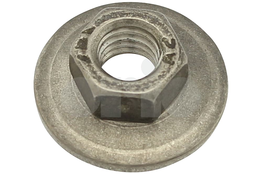 Nut-1
