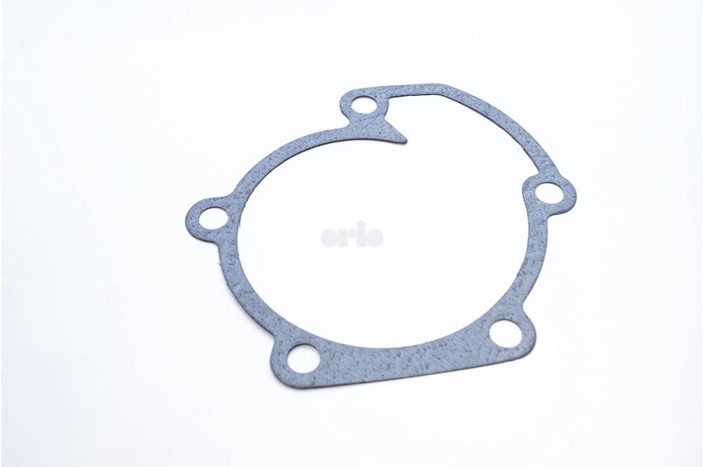 Gasket-1