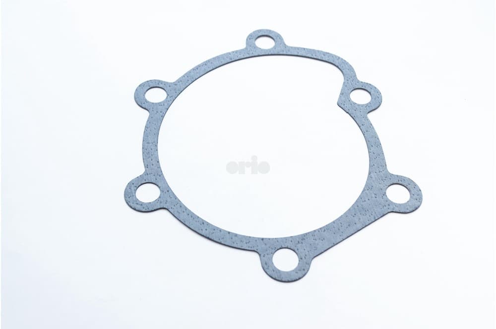 Gasket-1