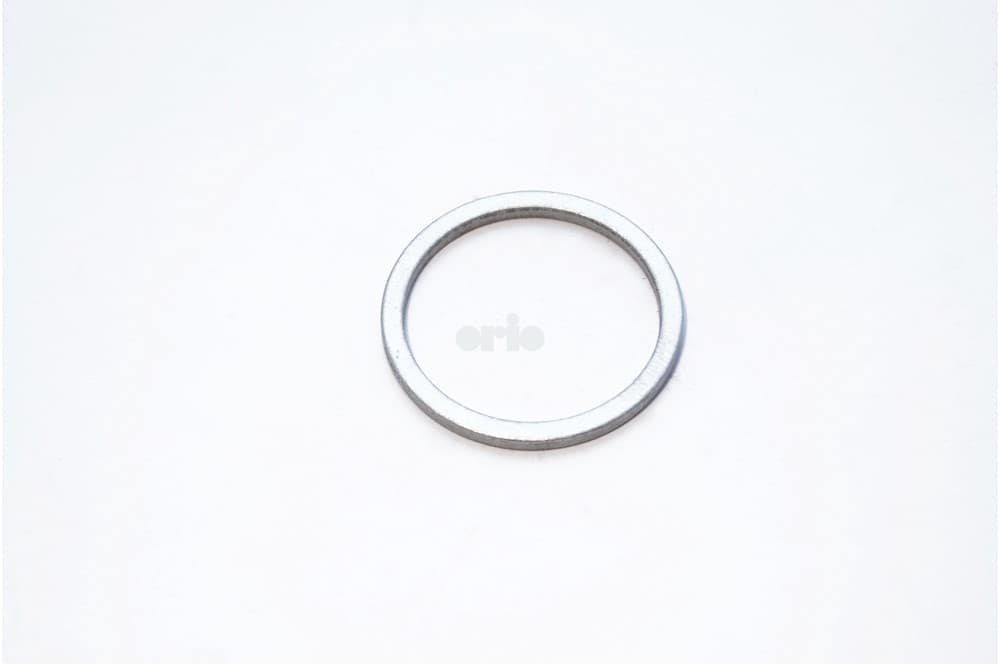 Sealing ring-1