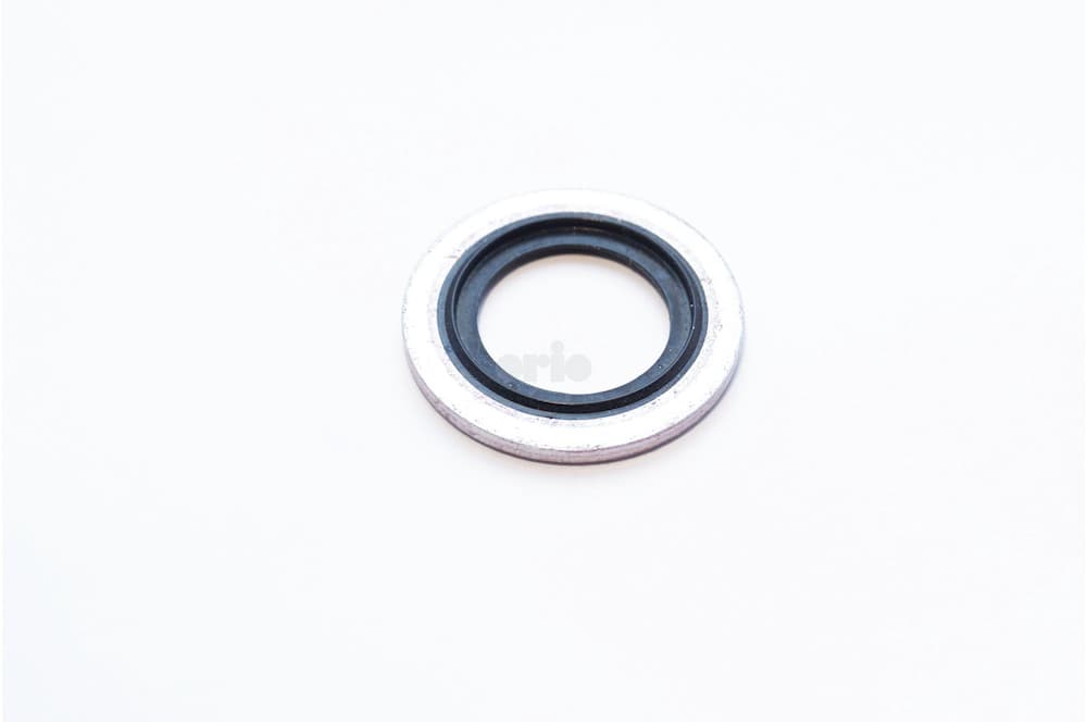 Seal-1