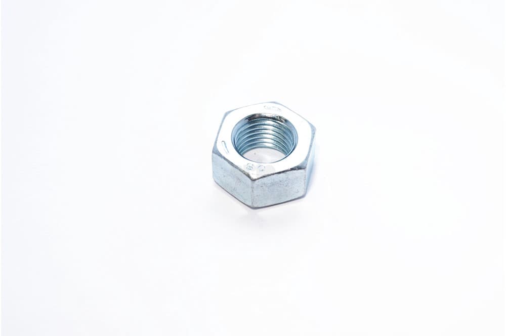 Nut-1