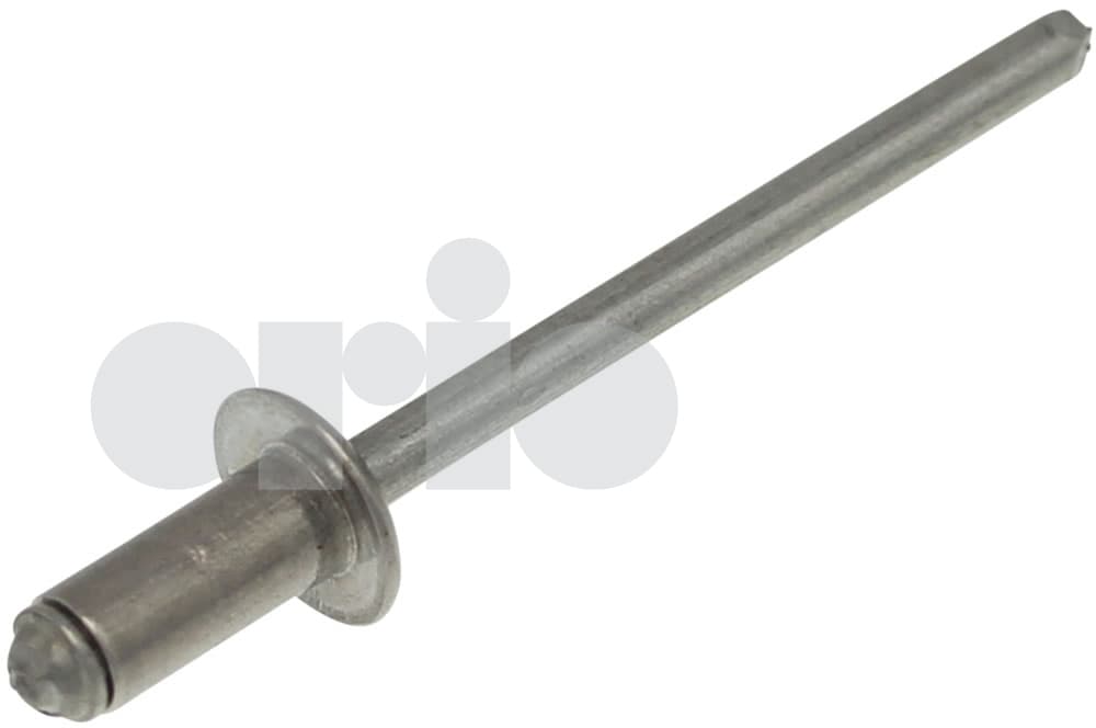 Rivet-1