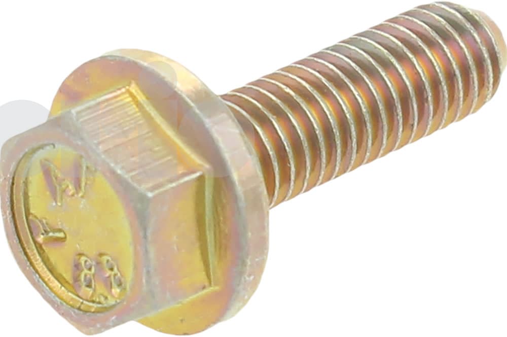 Screw-1