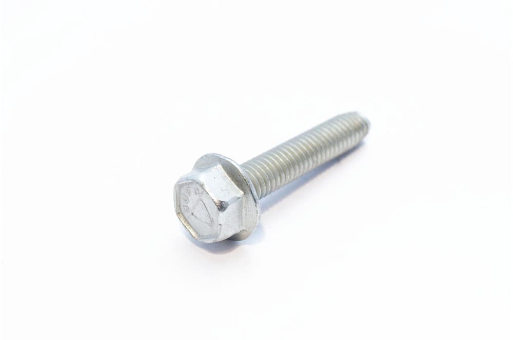 Screw-1