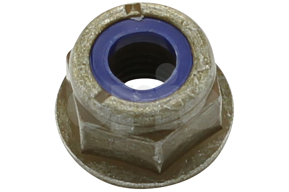 Nut-1