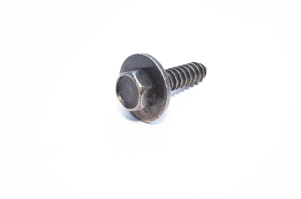 Screw