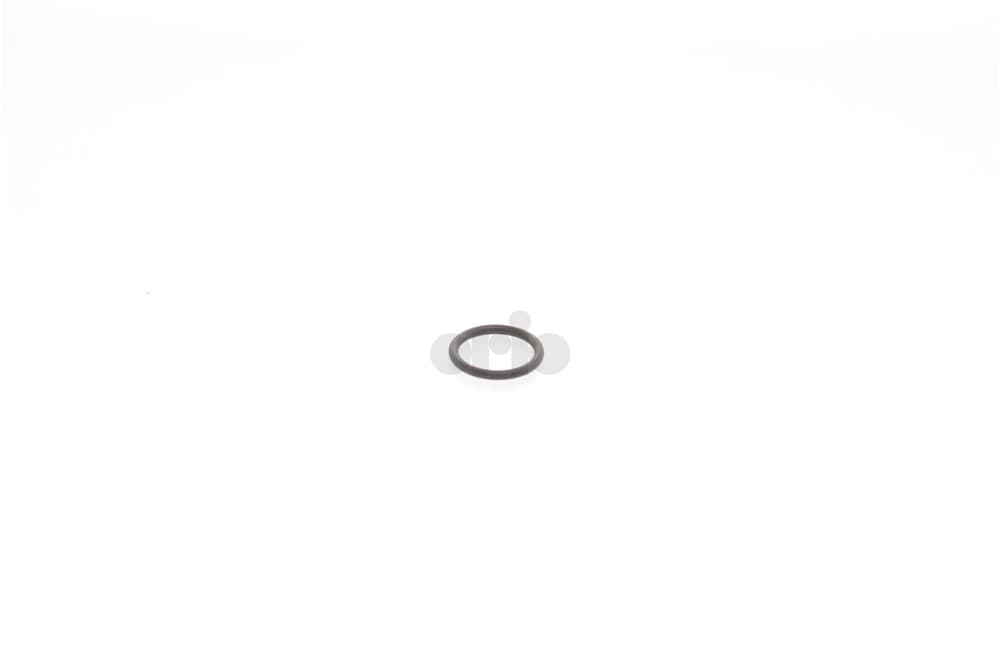 O-ring-1