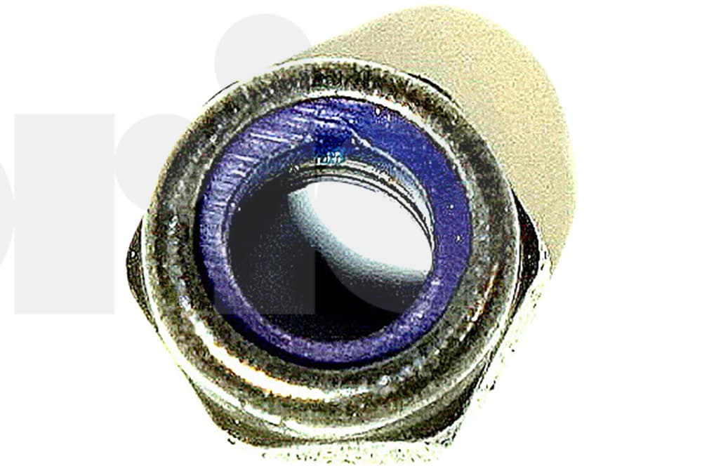 Nut-1