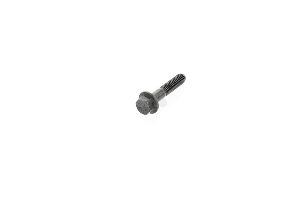 Screw-1