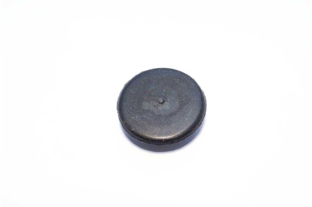 Plug-1