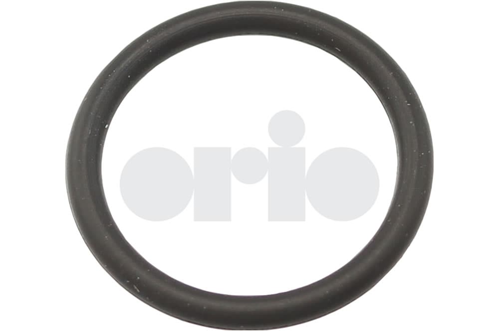 O-ring-1