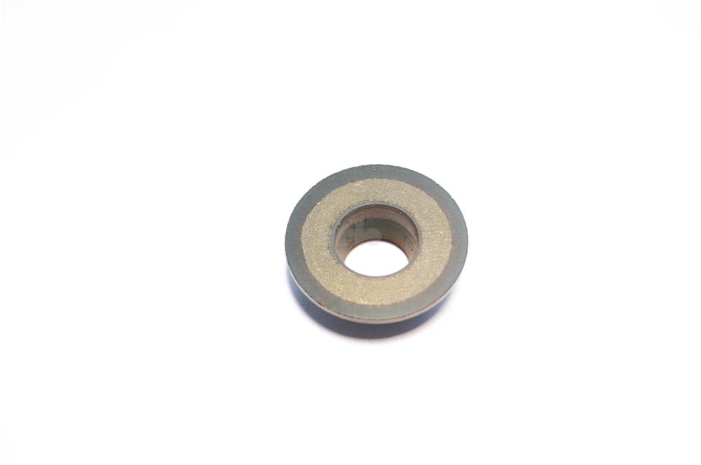 Seal-1