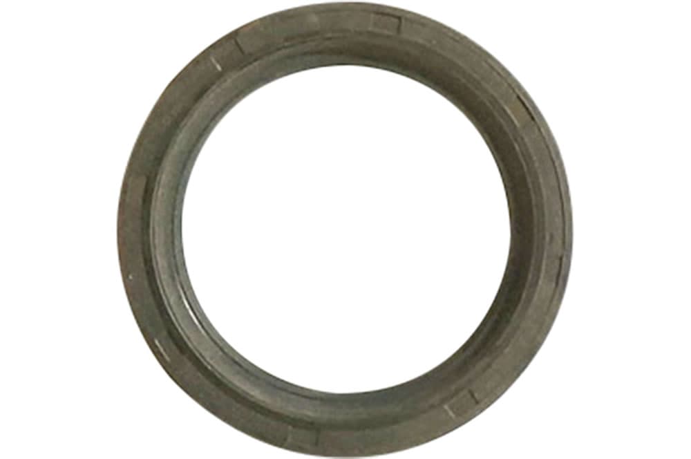 Sealing ring