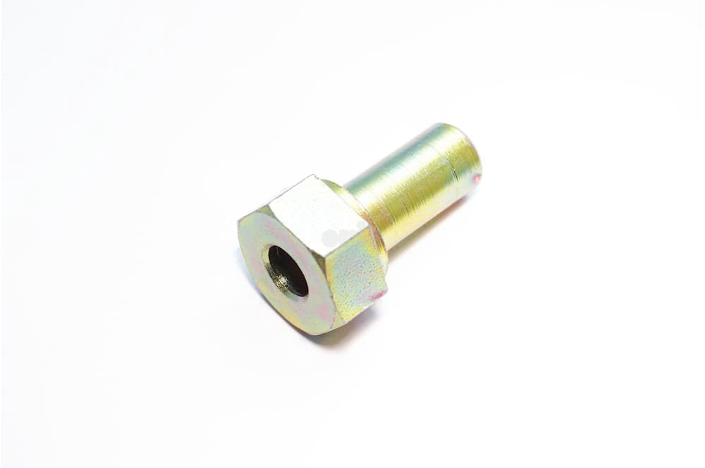 Nut-1