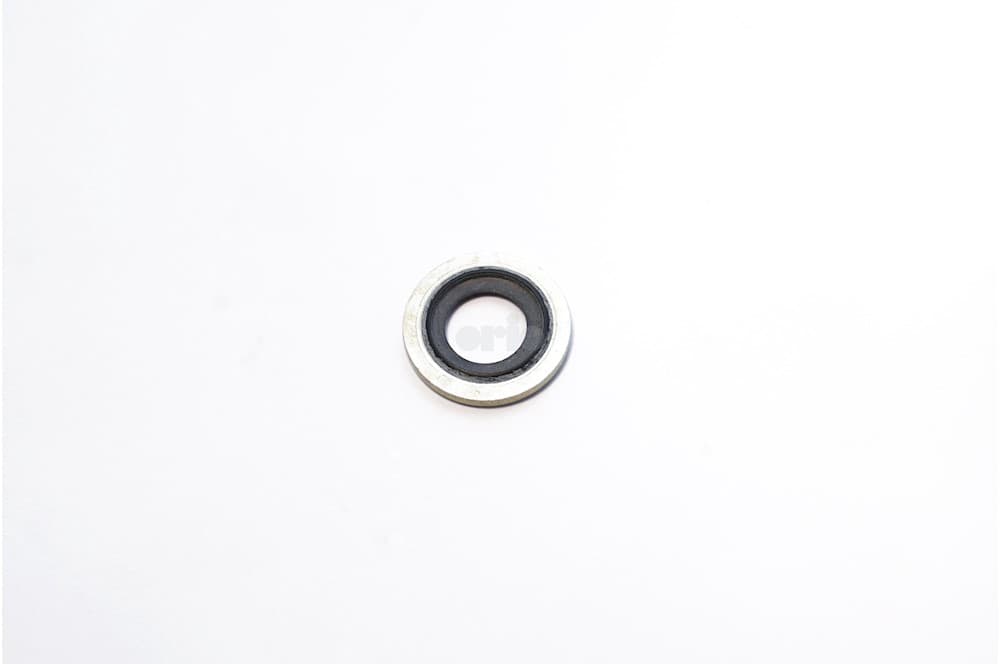Seal-1