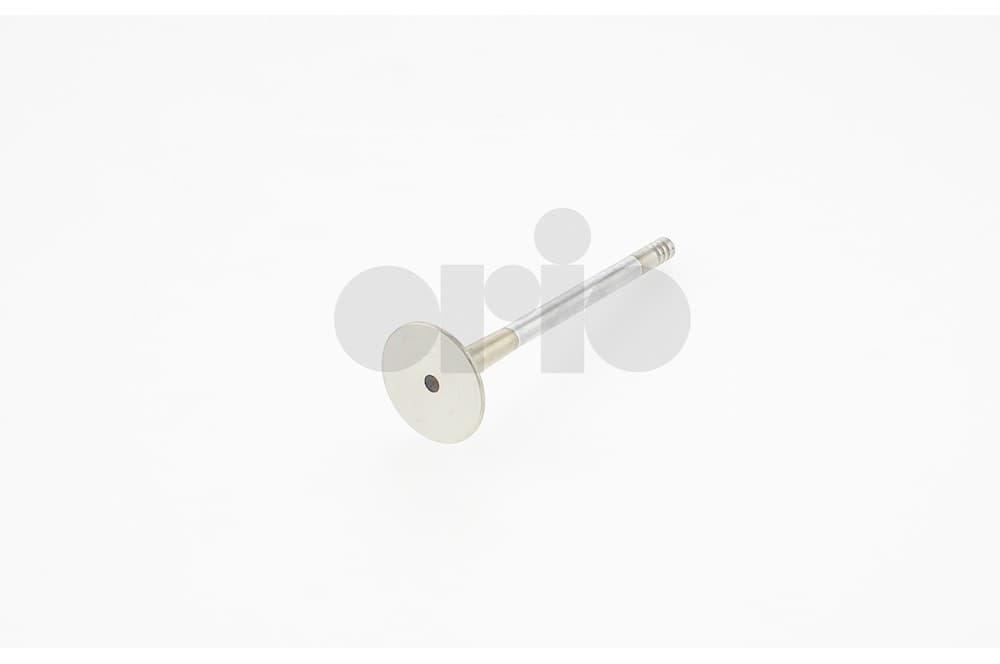 Exhaust valve