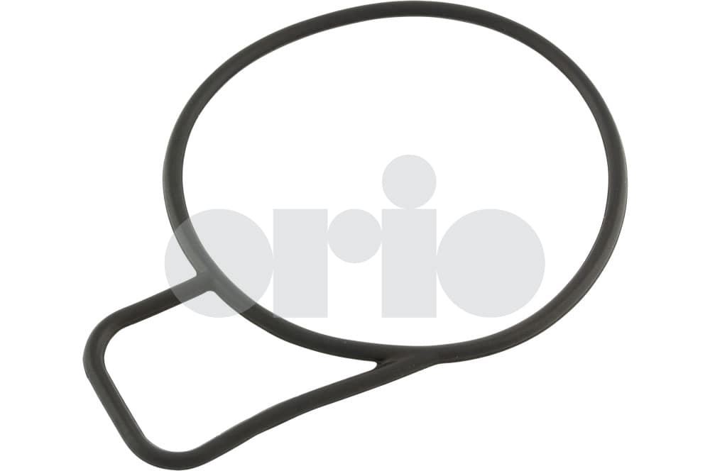 O-ring-1