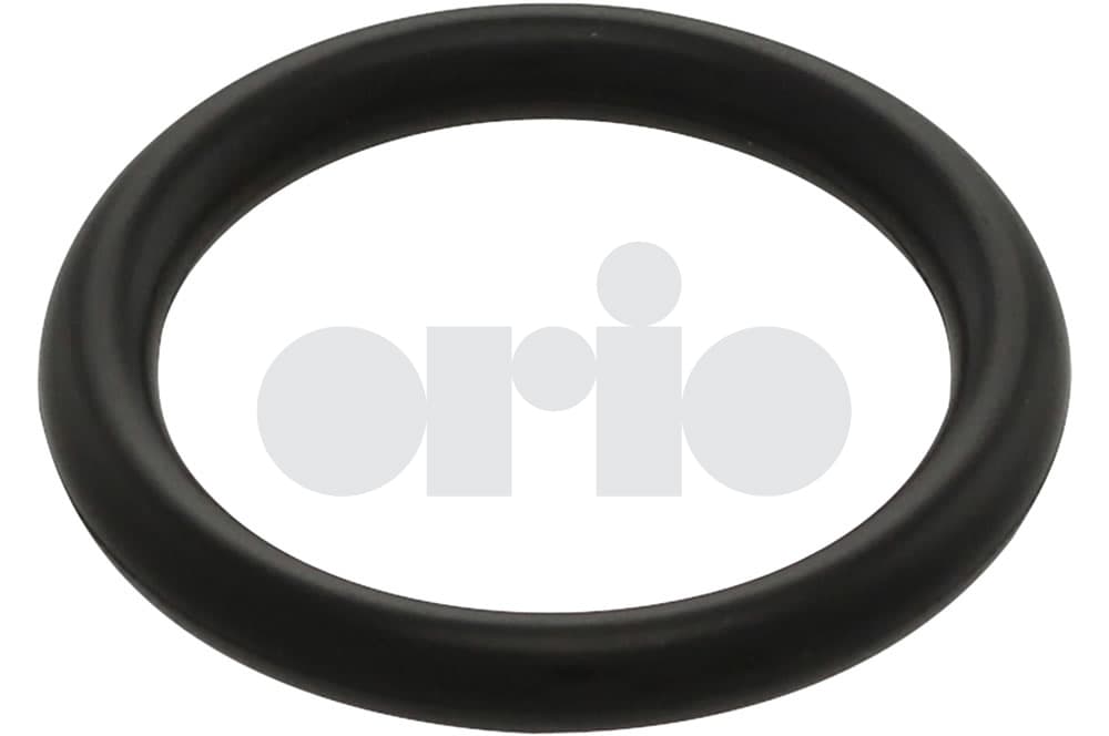 O-ring-1